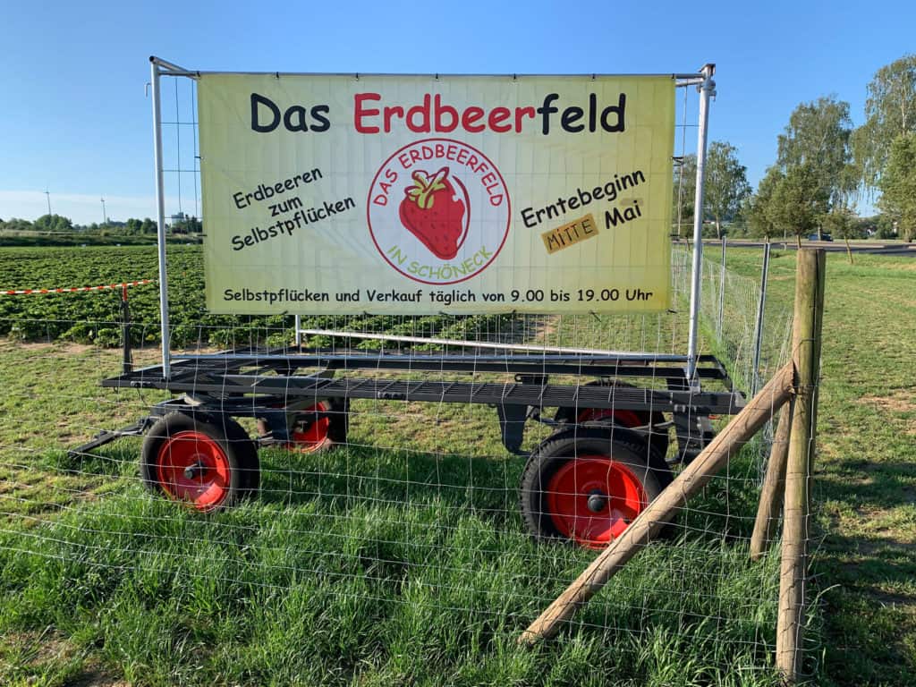 Erdbeerfeld Schöneck